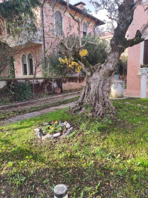 Casa Argia Villa Padova Ngoại thất bức ảnh